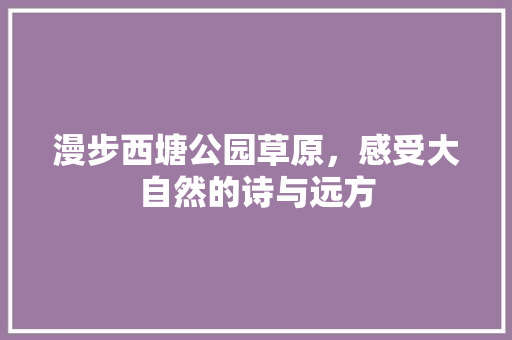 漫步西塘公园草原，感受大自然的诗与远方