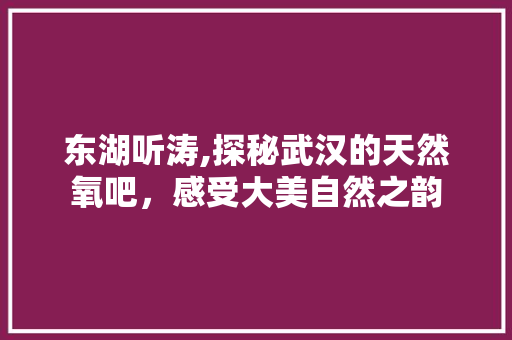 东湖听涛,探秘武汉的天然氧吧，感受大美自然之韵