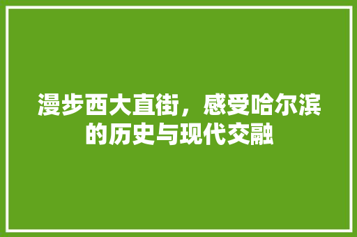 漫步西大直街，感受哈尔滨的历史与现代交融