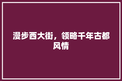 漫步西大街，领略千年古都风情