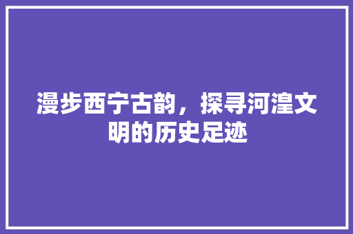 漫步西宁古韵，探寻河湟文明的历史足迹