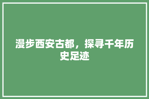 漫步西安古都，探寻千年历史足迹