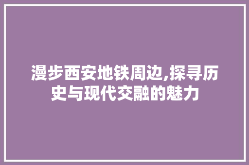 漫步西安地铁周边,探寻历史与现代交融的魅力