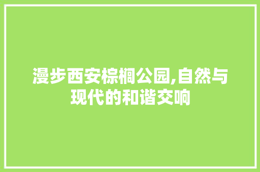 漫步西安棕榈公园,自然与现代的和谐交响