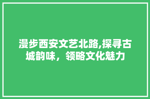 漫步西安文艺北路,探寻古城韵味，领略文化魅力