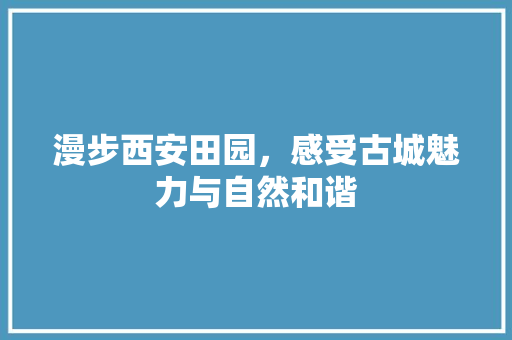 漫步西安田园，感受古城魅力与自然和谐