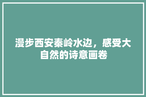 漫步西安秦岭水边，感受大自然的诗意画卷