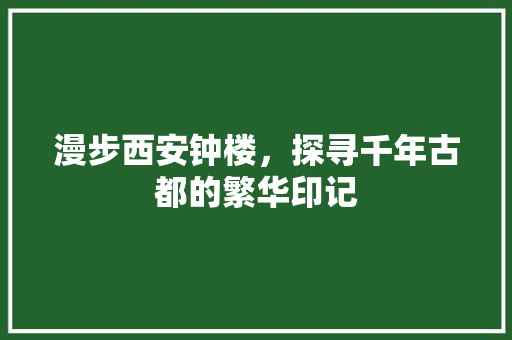 漫步西安钟楼，探寻千年古都的繁华印记