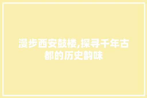 漫步西安鼓楼,探寻千年古都的历史韵味