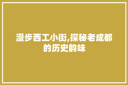 漫步西工小街,探秘老成都的历史韵味