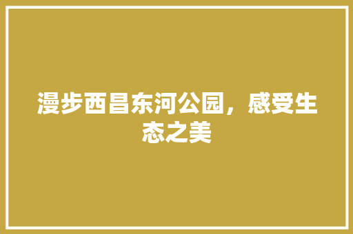 漫步西昌东河公园，感受生态之美