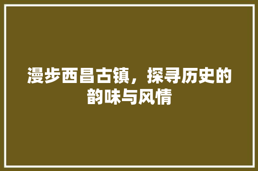 漫步西昌古镇，探寻历史的韵味与风情