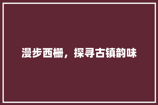 漫步西栅，探寻古镇韵味