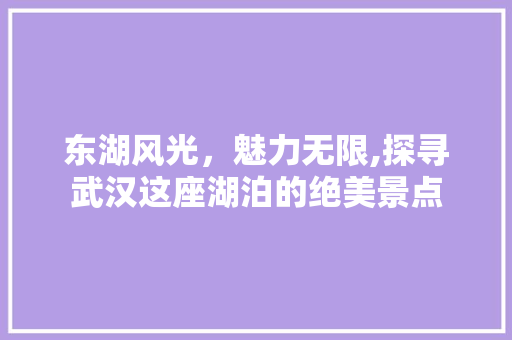 东湖风光，魅力无限,探寻武汉这座湖泊的绝美景点