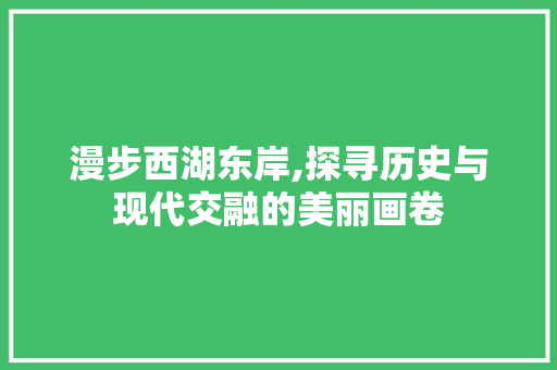 漫步西湖东岸,探寻历史与现代交融的美丽画卷