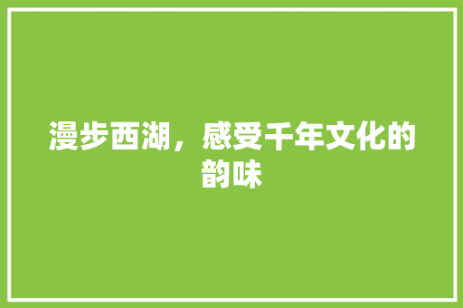 漫步西湖，感受千年文化的韵味