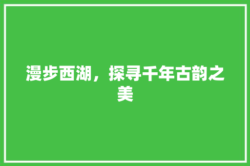 漫步西湖，探寻千年古韵之美