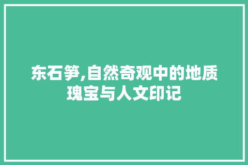 东石笋,自然奇观中的地质瑰宝与人文印记  第1张