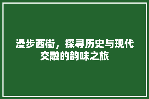 漫步西街，探寻历史与现代交融的韵味之旅