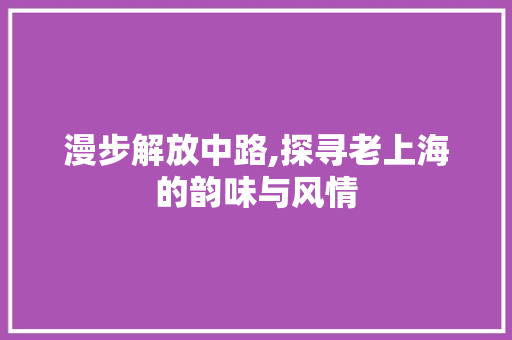 漫步解放中路,探寻老上海的韵味与风情