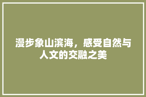 漫步象山滨海，感受自然与人文的交融之美