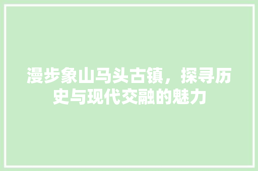 漫步象山马头古镇，探寻历史与现代交融的魅力