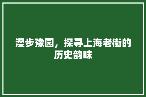 漫步豫园，探寻上海老街的历史韵味