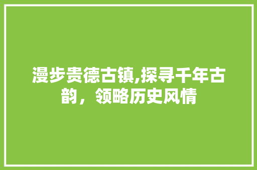 漫步贵德古镇,探寻千年古韵，领略历史风情