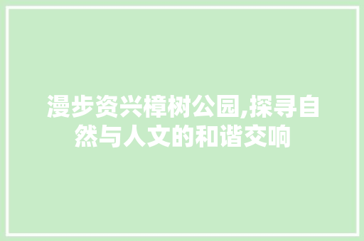 漫步资兴樟树公园,探寻自然与人文的和谐交响