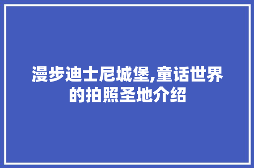 漫步迪士尼城堡,童话世界的拍照圣地介绍