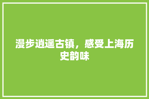 漫步逍遥古镇，感受上海历史韵味