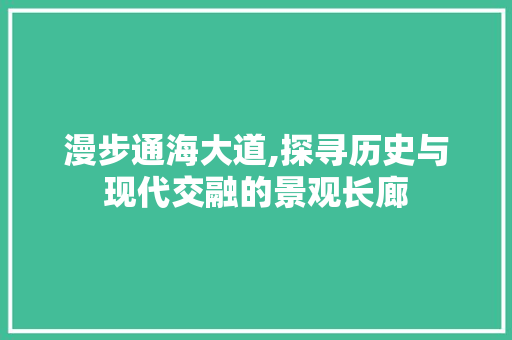 漫步通海大道,探寻历史与现代交融的景观长廊  第1张