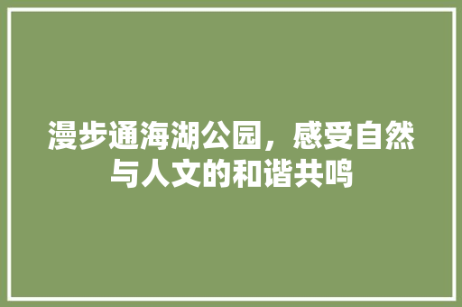 漫步通海湖公园，感受自然与人文的和谐共鸣