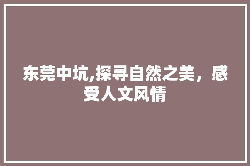 东莞中坑,探寻自然之美，感受人文风情  第1张