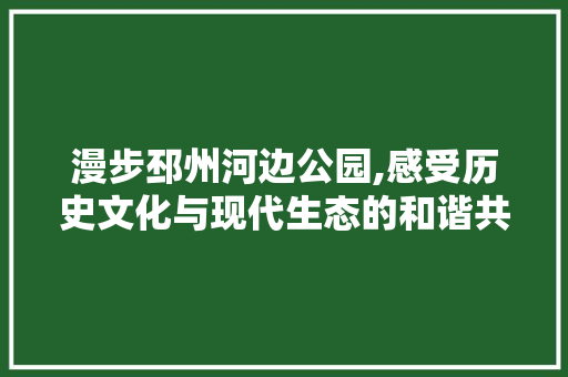 漫步邳州河边公园,感受历史文化与现代生态的和谐共鸣