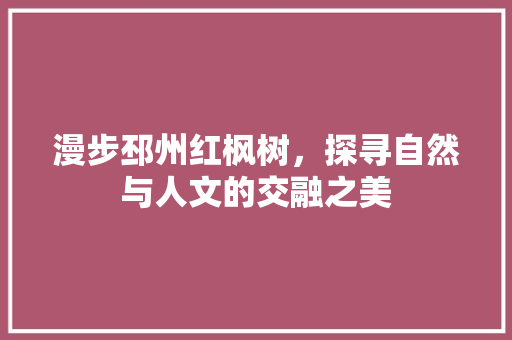 漫步邳州红枫树，探寻自然与人文的交融之美