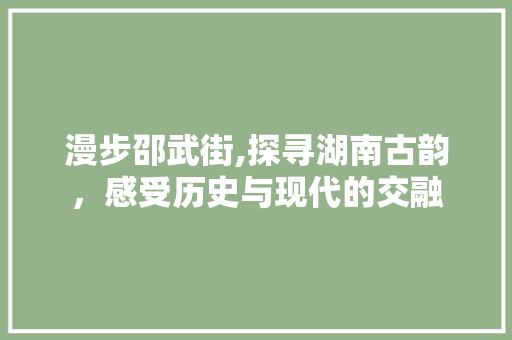 漫步邵武街,探寻湖南古韵，感受历史与现代的交融