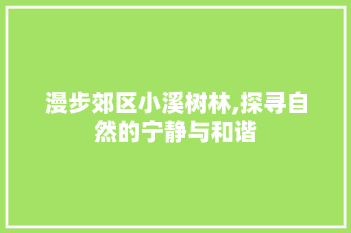 漫步郊区小溪树林,探寻自然的宁静与和谐