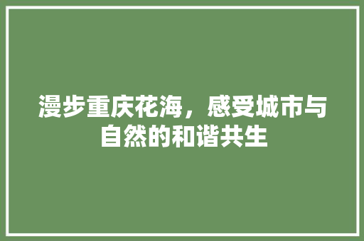 漫步重庆花海，感受城市与自然的和谐共生