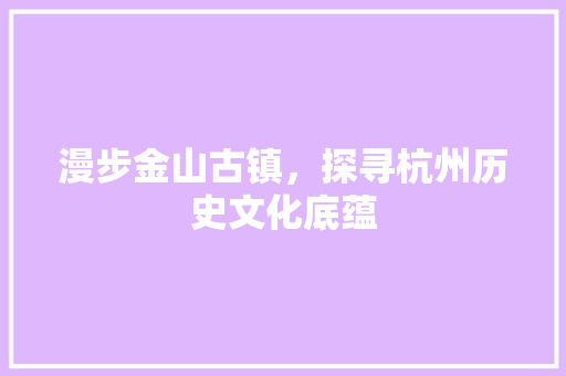 漫步金山古镇，探寻杭州历史文化底蕴