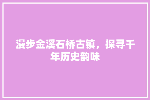 漫步金溪石桥古镇，探寻千年历史韵味