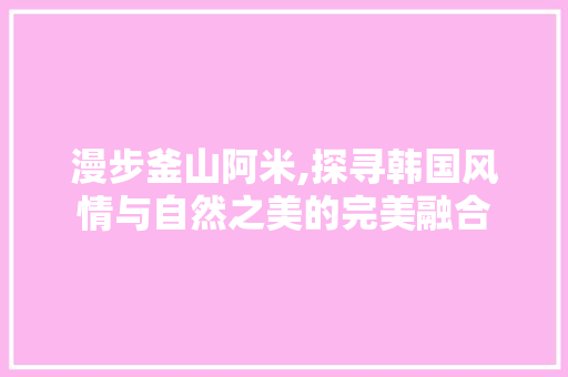 漫步釜山阿米,探寻韩国风情与自然之美的完美融合