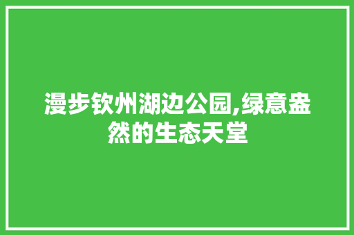 漫步钦州湖边公园,绿意盎然的生态天堂