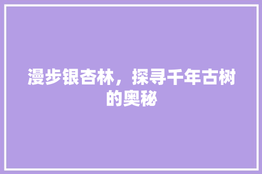 漫步银杏林，探寻千年古树的奥秘