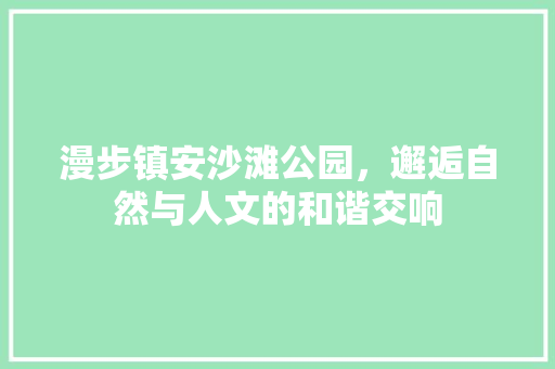 漫步镇安沙滩公园，邂逅自然与人文的和谐交响