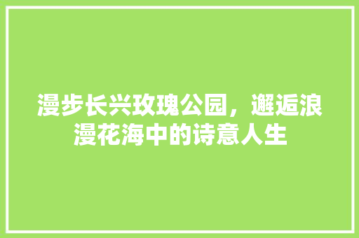 漫步长兴玫瑰公园，邂逅浪漫花海中的诗意人生