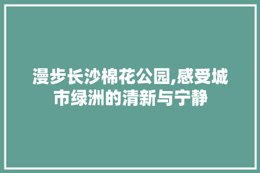 漫步长沙棉花公园,感受城市绿洲的清新与宁静