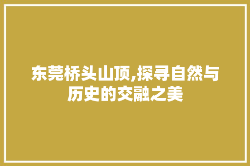 东莞桥头山顶,探寻自然与历史的交融之美