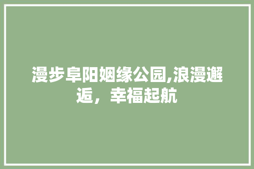 漫步阜阳姻缘公园,浪漫邂逅，幸福起航