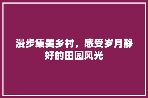 漫步集美乡村，感受岁月静好的田园风光